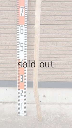 画像5: 棒流木・長尺