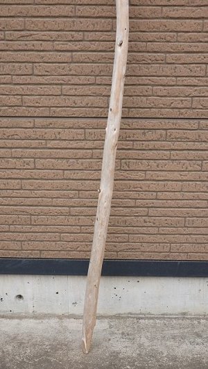 画像2: 棒流木・長尺