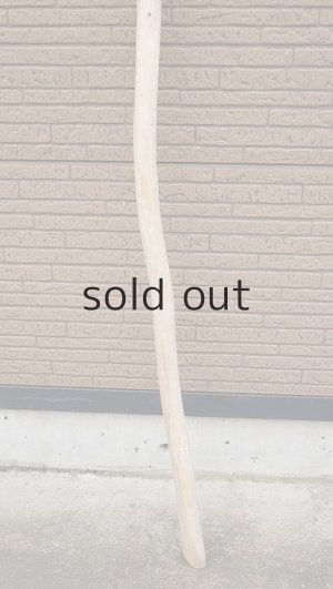 画像2: 棒流木・長尺