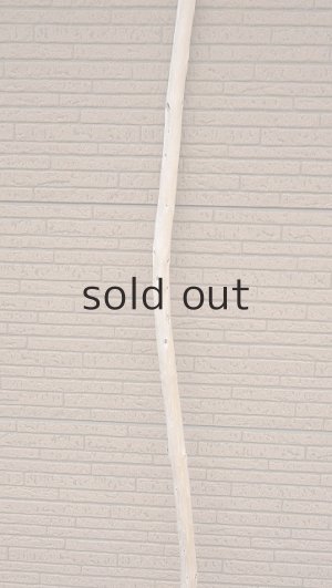 画像3: 棒流木・長尺