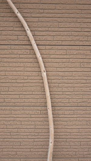 画像3: 棒流木・長尺