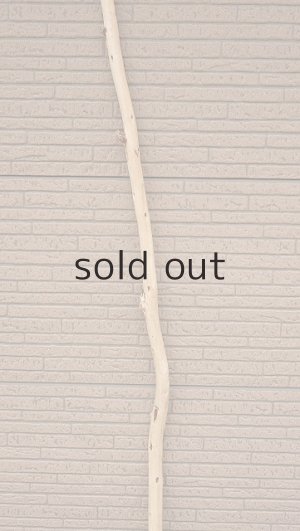 画像3: 棒流木・長尺