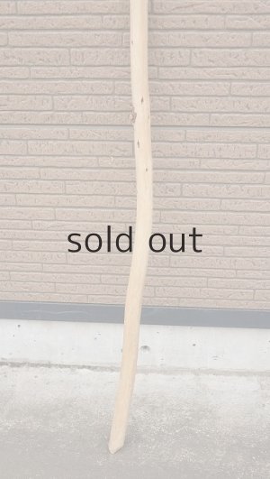 画像2: 棒流木・長尺