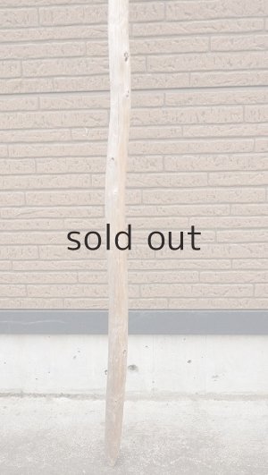 画像2: 棒流木・長尺