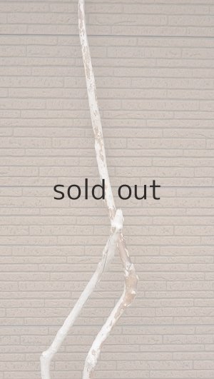 画像4: 幹流木・長尺