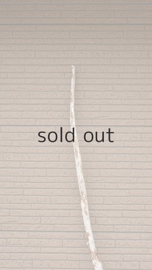 画像5: 幹流木・長尺