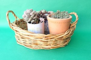 画像3: ガーデンオブジェ・籐バスケット