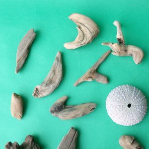 画像2: 変形流木セット