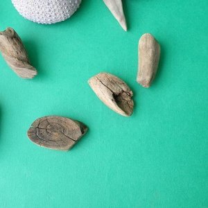 画像9: 変形流木セット