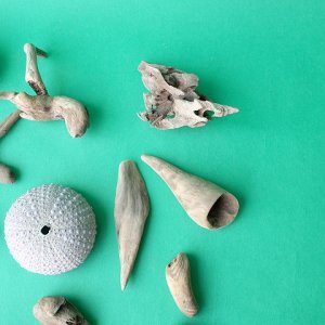 画像3: 変形流木セット