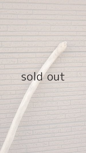 画像5: 大型　幹・根付