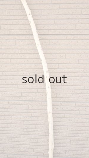 画像3: 棒流木・長尺