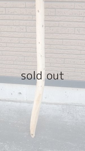 画像2: 棒流木・長尺