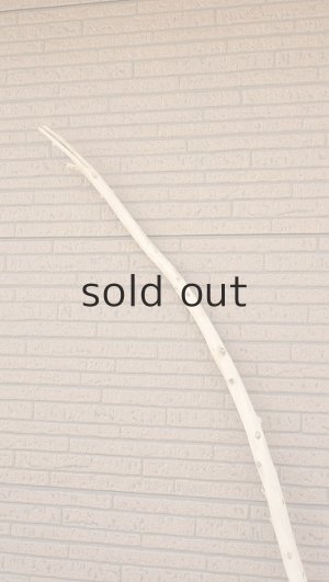 画像4: 棒流木・長尺