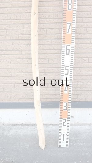 画像5: 棒流木・長尺