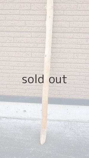 画像2: 棒流木・長尺