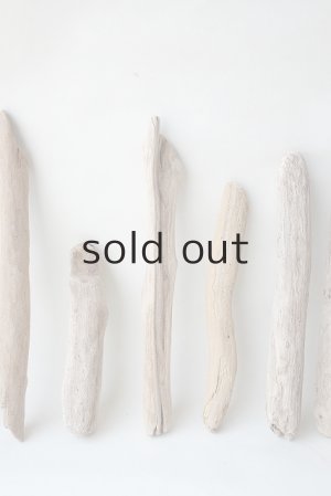 画像3: 小枝流木セット