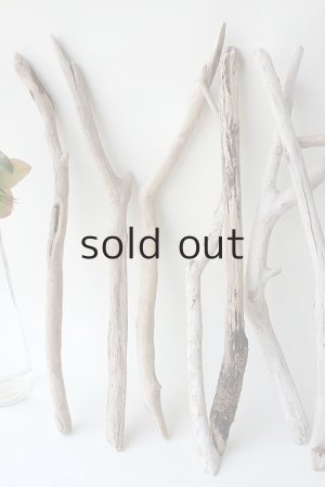 画像2: 小枝流木セット