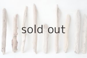 画像5: 小枝流木セット