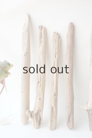 画像2: 小枝流木セット