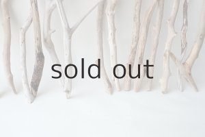 画像5: 小枝流木セット