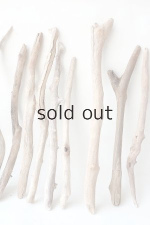 画像4: 小枝流木セット