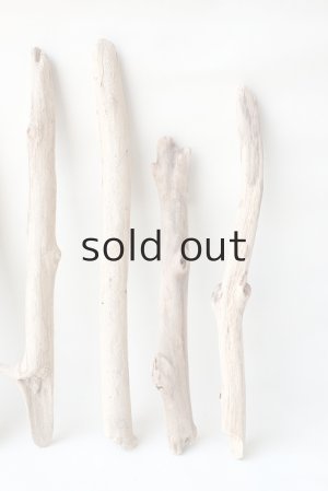 画像4: 小枝流木セット