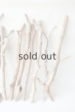 画像4: 小枝流木セット