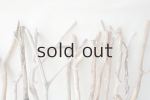 画像6: 小枝流木セット