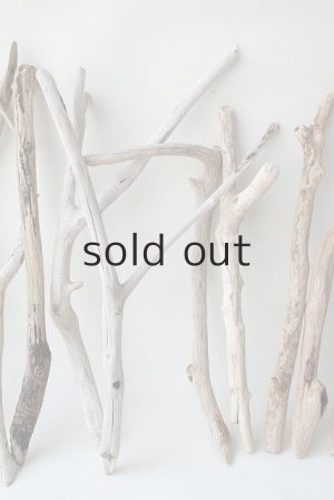 画像3: 小枝流木セット