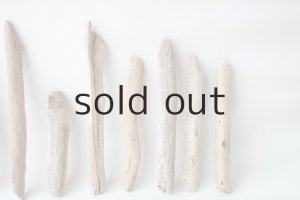 画像6: 小枝流木セット