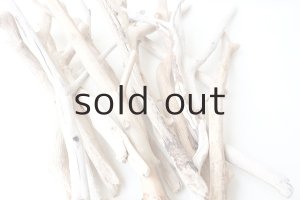 画像7: 小枝流木セット