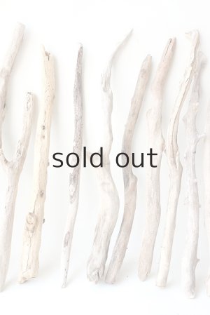 画像3: 小枝流木セット