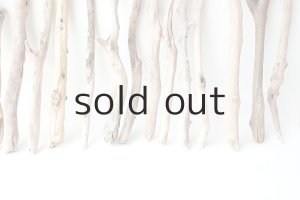 画像6: 小枝流木セット