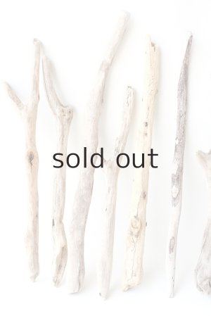 画像2: 小枝流木セット