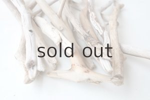 画像8: 小枝流木セット