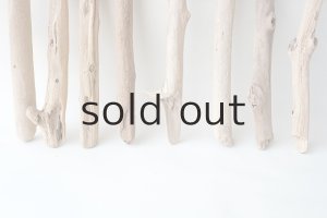 画像5: 小枝流木セット