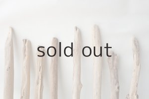 画像6: 小枝流木セット