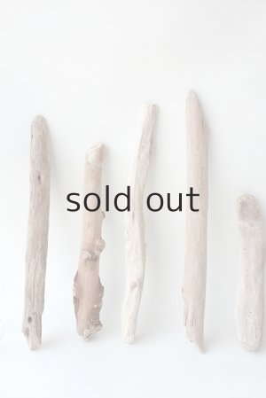 画像2: 小枝流木セット