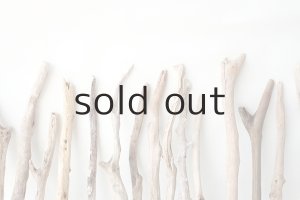 画像7: 小枝流木セット