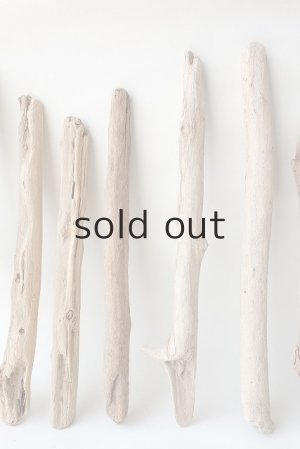 画像3: 小枝流木セット