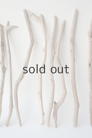 画像5: 小枝流木セット