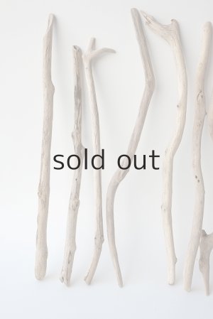 画像4: 小枝流木セット