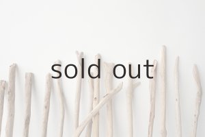 画像6: 小枝流木セット