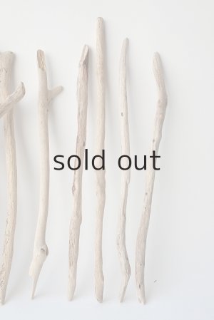 画像4: 小枝流木セット