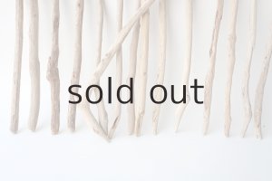 画像5: 小枝流木セット