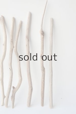 画像6: 小枝流木セット