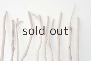 画像3: 小枝流木セット