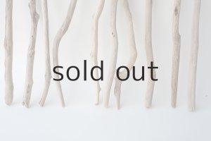 画像2: 小枝流木セット