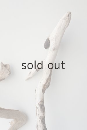 画像4: 流木根セット